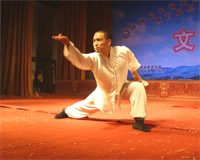 Qigong practitioner